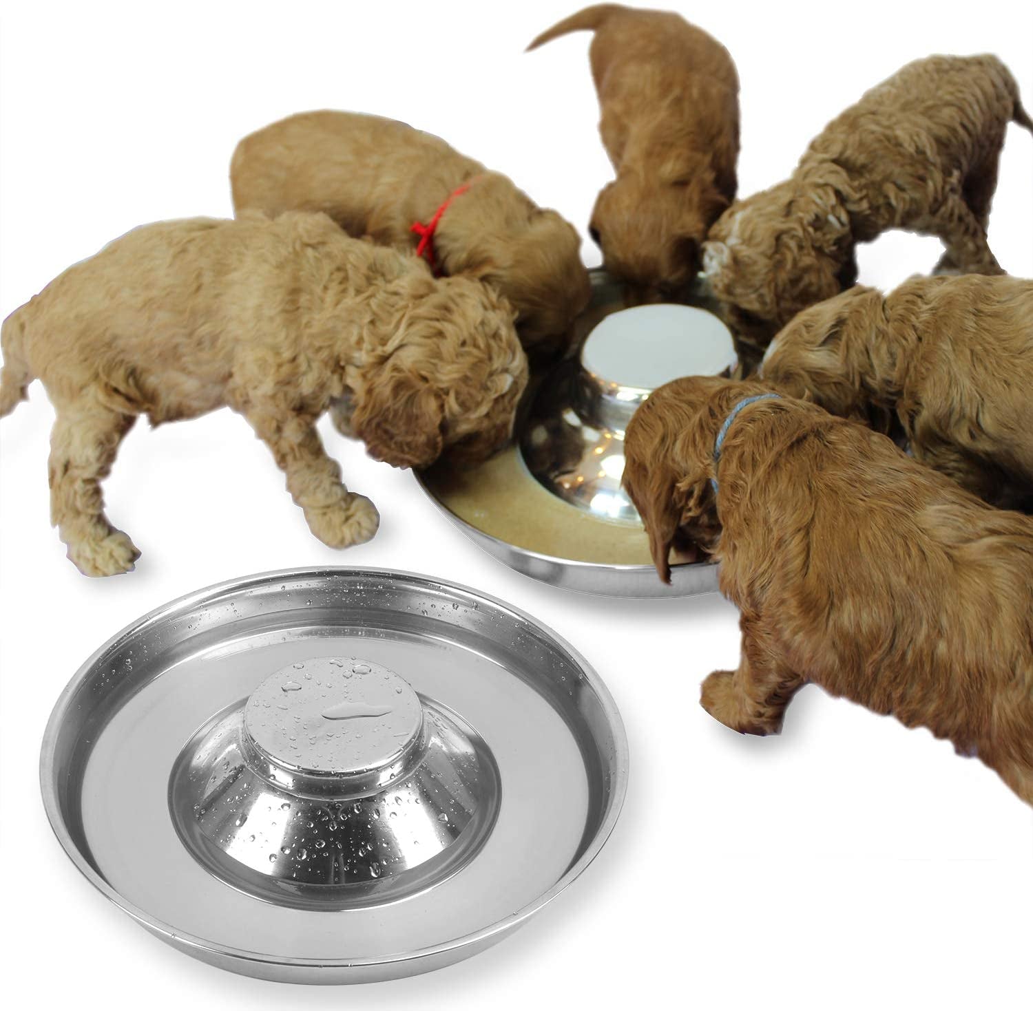 Stainless Steel Puppy Dog Bowls 2 Pack, Pets Puppies Feeding Food and Water Weaning Bowls Dishes Feeder, 11.8 Inch
